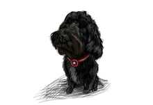 Load image into Gallery viewer, Colour pet portrait - Dog drawn with superhero collar - Color drawing -drawings and portraits from your photos - drawking.com - Drawking