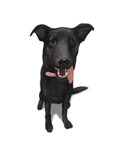 Load image into Gallery viewer, Colour pet portrait - Dog drawn with tongue out - Color drawing -drawings and portraits from your photos - drawking.com - Drawking