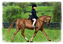 Load image into Gallery viewer, Colour pet portrait - Girl drawn on horse in field - Color drawing -drawings and portraits from your photos - drawking.com - Drawking