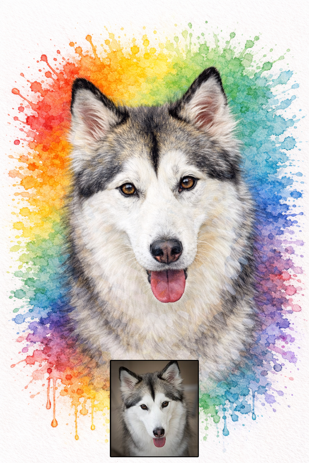 Rainbow Bomb Pet Portrait