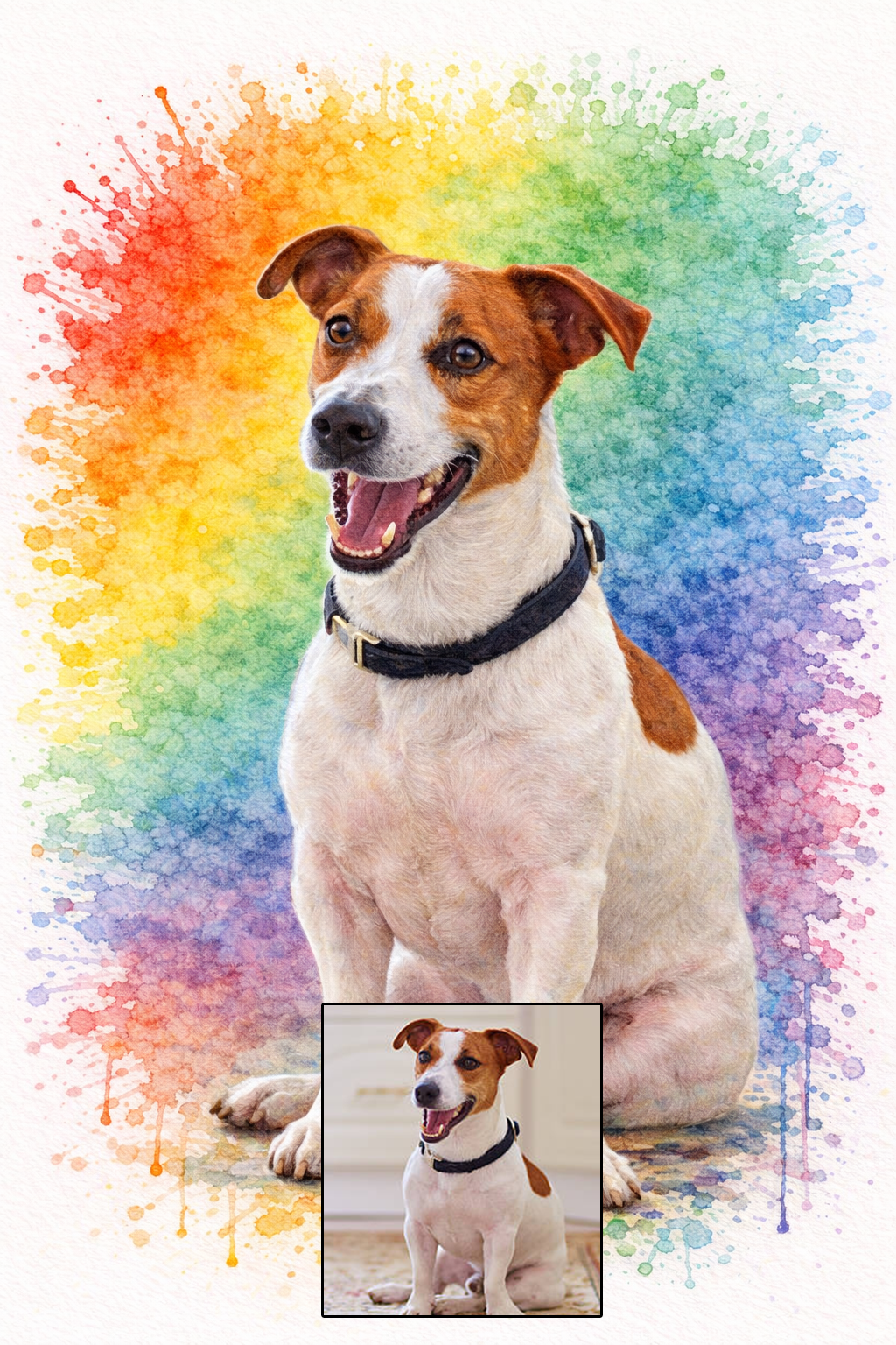 Rainbow Bomb Pet Portrait