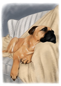 Colour pet portrait - Dog drawn on couch with blanket - Color drawing -drawings and portraits from your photos - drawking.com - Drawking